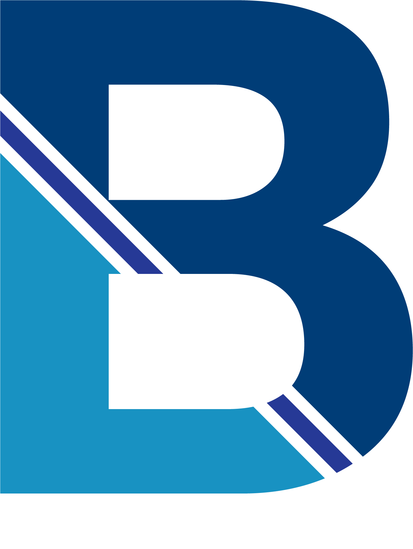 Burhan logo